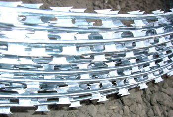 особенно грозно проволока колючая егоза выглядит при ближайшем рассмотрении