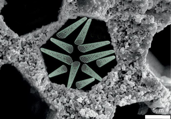 процессы, которые происходят с металлом в установке для литья намораживанием, отследил электронный микроскоп